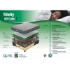 Picture of Restonic Trinity 152cm Queen Firm Base Set +scatter cushion